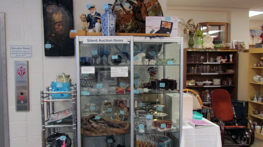 Auction Items at the Treasure Shop